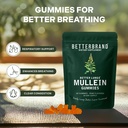 betterbrand-mullein-chewable-gummies-for-6.jpg