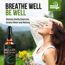mullein-leaf-extract-for-lungs-mullein-d-2.jpg