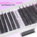 pawotence-lash-clusters-280pcs-individua-5.jpg