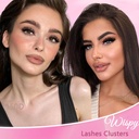 lash-clusters-kit-150d-200d-thick-lash-c-3.jpg