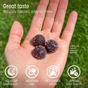 sunsoil-better-sleep-organic-gummies-no--4.jpg