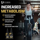 cerus-performance-flow-stimulant-free-en-6.jpg