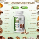22-in-1-lions-mane-mushroom-supplement-w-4.jpg