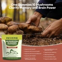 mushroom-gummies-16-in-1-mushroom-supple-3.jpg