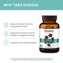 himalaya-guggul-cholesterol-supplement-f-3.jpg