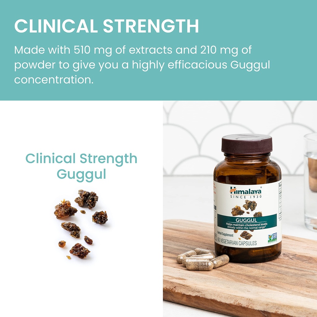 himalaya-guggul-cholesterol-supplement-f-5.jpg