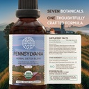 herbera-pennsylvania-herbal-detox-blend--5.jpg
