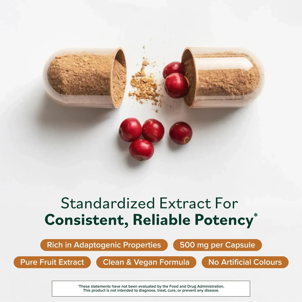prominent-nutrition-schisandra-supplemen-4.jpg