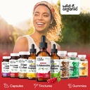 wild-organic-schisandra-berry-extract-dr-5.jpg