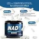 supplement-2.jpg