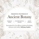 anima-mundi-apothecary-healthy-hair-vita-2.jpg