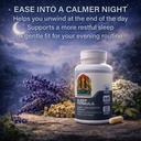 sleep-formula-magnesium-l-theanine-gaba--2.jpg