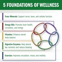 bio35-300-sg-original-gluten-free-daily--3.jpg