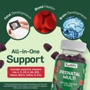 yumvs-prenatal-gummies-for-women-prenata-5.jpg