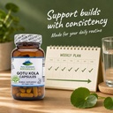 pure-mountain-botanicals-gotu-kola-capsu-6.jpg
