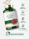 carlyle-red-marine-algae-1600mg-200-caps-5.jpg