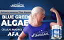 vitamisan-celulas-madres-stem-cell-blue--2.jpg