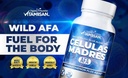 vitamisan-4-celulas-madres-stemcells-cel-5.jpg