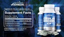 vitamisan-4-celulas-madres-stemcells-cel-2.jpg