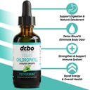 chlorophyll-liquid-drops-body-detox-lymp-2.jpg