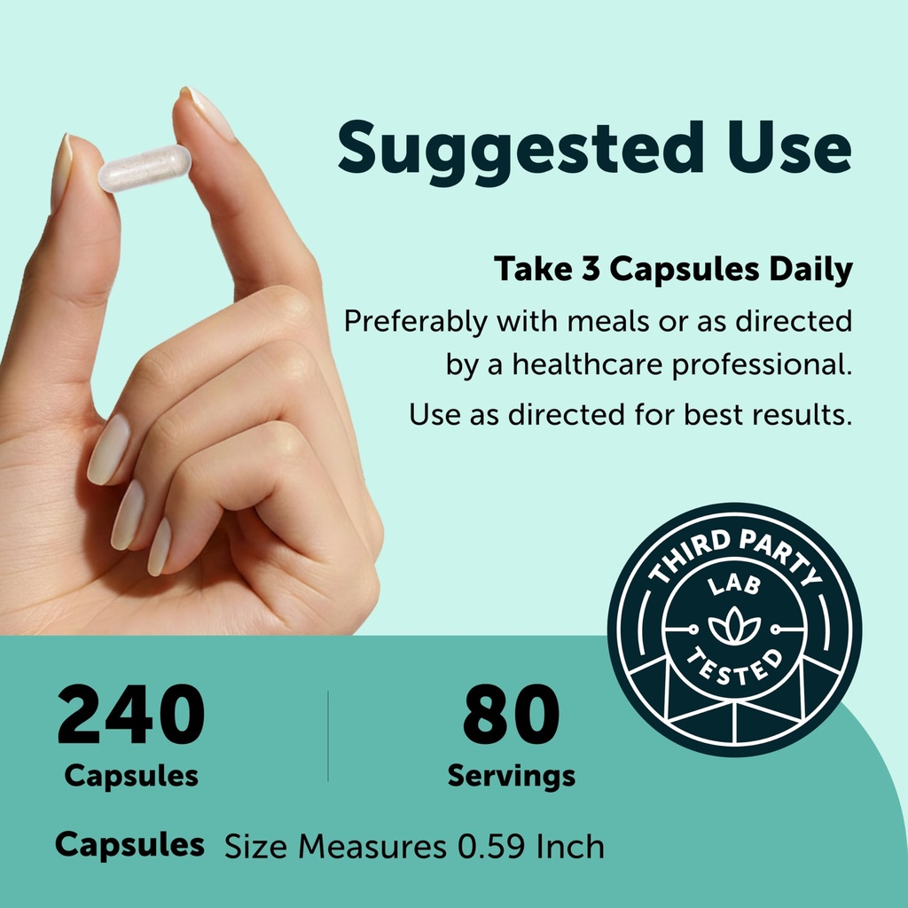 micro-ingredients-phosphatidylserine-600-4.jpg