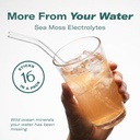 trueseamoss-electrolytes-powder-concentr-3.jpg