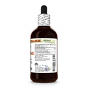 horsetail-alcohol-free-extract-glycerite-2.jpg