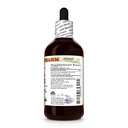 uva-ursi-arctostaphylos-uva-ursi-dry-her-2.jpg