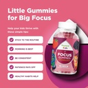 vegan-kids-focus-gummies-potent-chewable-6.jpg