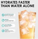 sugar-free-electrolyte-powder-packets-20-3.jpg