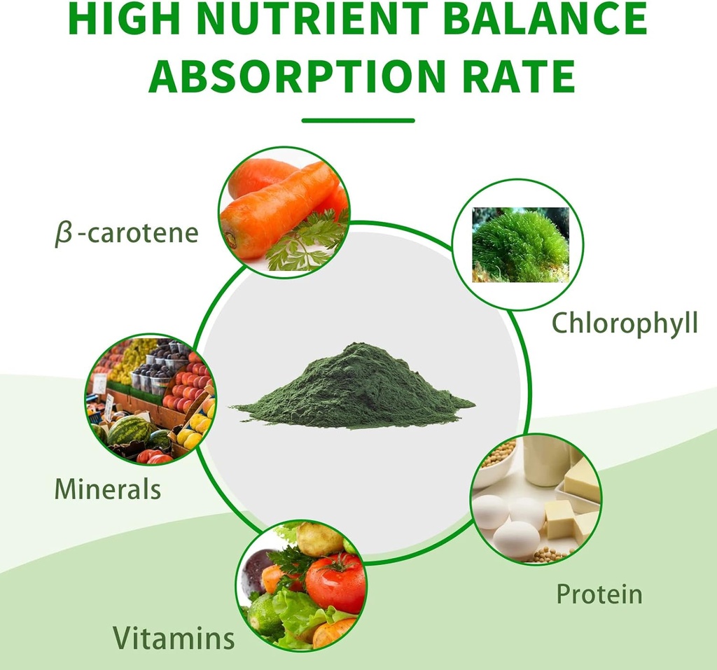 organic-spirulina-powder-non-gmo-usda-ce-5.jpg