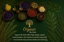 organic-bio-herbs-echinacea-dried-flower-6.jpg