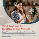 ayush-herbs-guggul-power---metabolic-vit-5.jpg