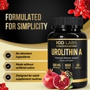 urolithin-a-capsules-500mg-1000mg-per-se-4.jpg