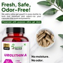 humming-herbs-urolithin-a-supplement-250-4.jpg