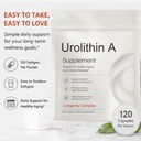 urolithin-a-supplement-healthy-aging-and-6.jpg