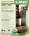 linc-2-in-1-usda-organic-lions-mane-mush-2.jpg