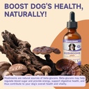 mushroom-for-dogs-with-turkey-tail-mushr-6.jpg