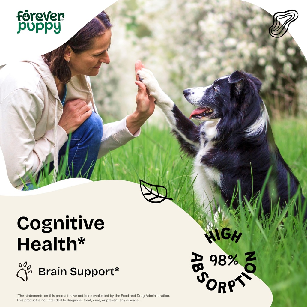 forever-puppy-cognition-drops-for-dogs-l-2.jpg