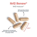 allergy-research-group-nrf2-renew-supple-5.jpg