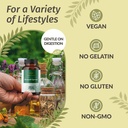 herbamama-sulforaphane-supplement-from-b-5.jpg