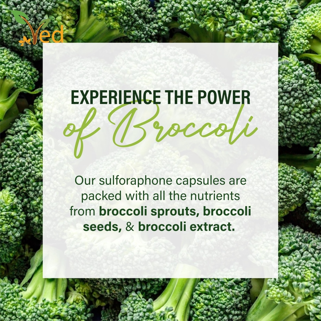 ved-broccoli-sulforaphane-broccoli-powde-5.jpg