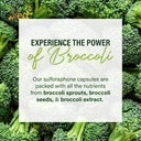 ved-broccoli-sulforaphane-broccoli-powde-5.jpg