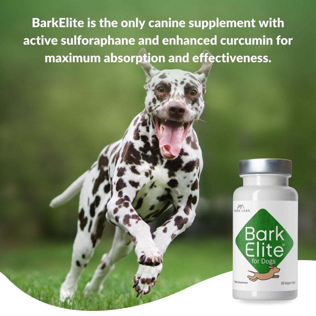 mara-labs-barkelite-for-dogs-stabilized--5.jpg