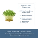 eclectic-herb-organic-broccoli-sprouts-c-5.jpg