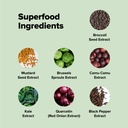 complement-sulfora-essential-multivitami-4.jpg