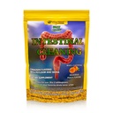 intestinal-cleaning-flaxseed-linaza-limp-2.jpg