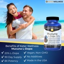 mucuna-pruriens-20-l-dopa-standardized-v-2.jpg