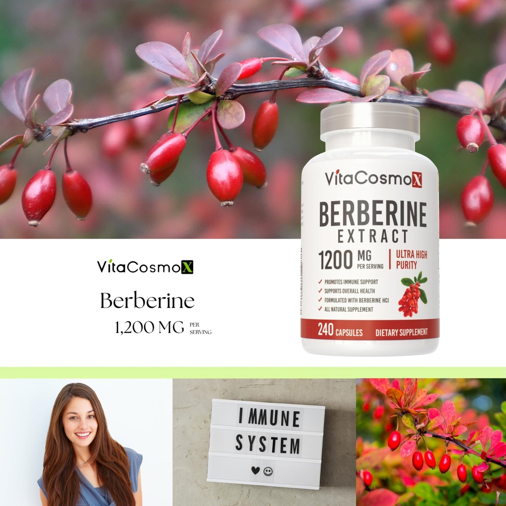 berberine-hcl-supplement-1200-mg-240-veg-6.jpg