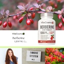 berberine-hcl-supplement-1200-mg-240-veg-6.jpg
